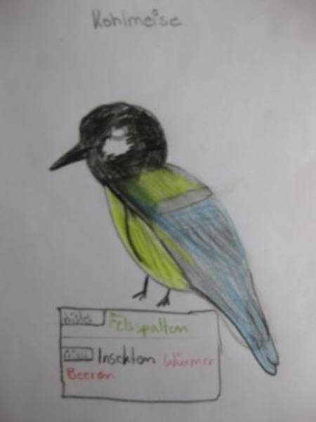 vögel