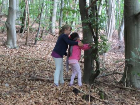 wald
