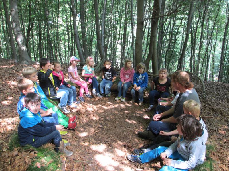 wald